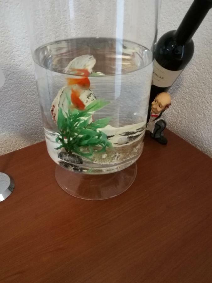 Appartamento Radun Spalato Esterno foto
